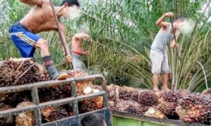 foto slider headline