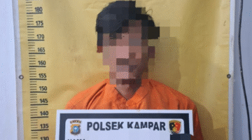 Polsek Kampar Tangkap Pelaku Curi Sawit di Desa Padang Mutung Sempat Ancam Korban Dengan Sajam